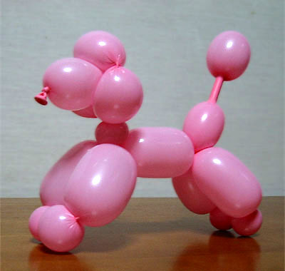 バルーン プードル balloon poodle