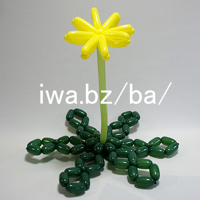 バルーン たんぽぽ dandelion