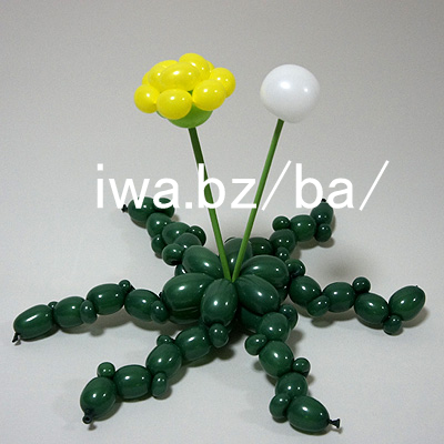 バルーン たんぽぽ dandelion